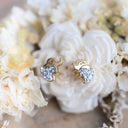 Ohrstecker-aus-14k-Gold Little Bijou