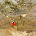 Namensarmband angehängter Marienkäfer Little Bijou