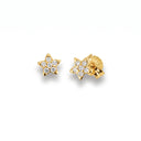 Ohrstecker Stern Gold Zirkonia Little Bijou